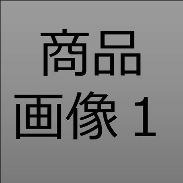 北陸福井統合・２０２５０９１０テストデータ