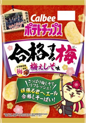 ポテトチップス合格する梅梅ぇしそ味