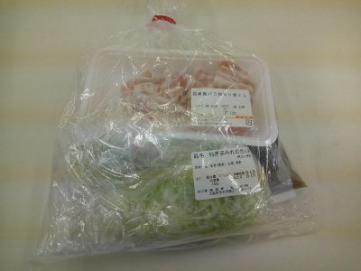 ねぎまみれの他人丼の具