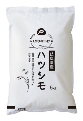 岐阜県産ハツシモ