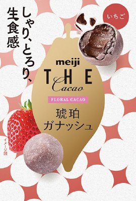 ザ・カカオ琥珀ガナッシュいちご