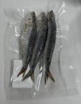 熟成いわし一夜干し