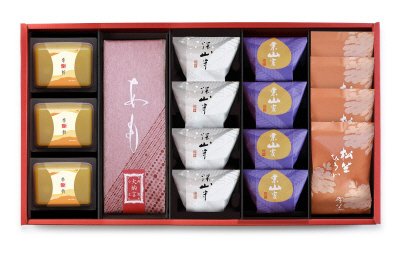 冬ハレ 匠 AGF-50