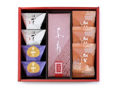 冬ハレ 匠　AGF-30