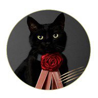 CACAOCAT缶　５個入　ＮＯＩＲ