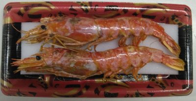 ＢＬ　赤えび焼（Ｌ１）2尾