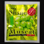 凍眠　山形県産シャインマスカット