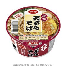 ミニ　天ぷらそば