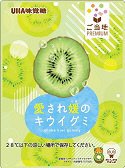 ご当地ＰＲＥＭＩＵＭ　愛され媛のキウイグミ