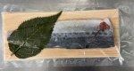 国産さわら桜花漬け
