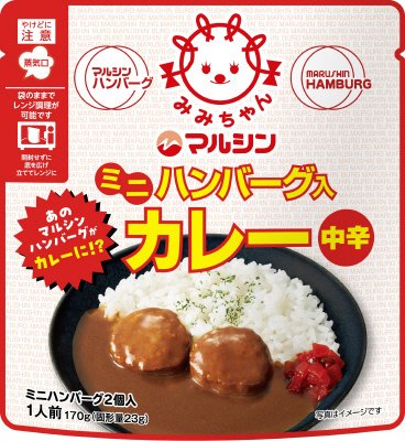 ミニハンバーグ入カレー