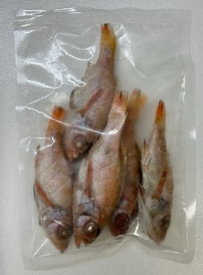 のど黒(処理済)