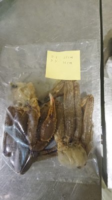生ずわいがに肩