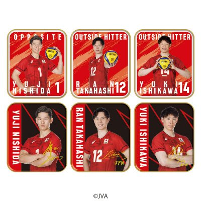 きゅんちょコれバレーボール男子日本代表