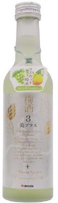 美プラス　マスカット梅酒（コエンザイムＱ１０入り）