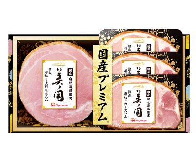 美ノ国２種　ＵＫＩ－３００