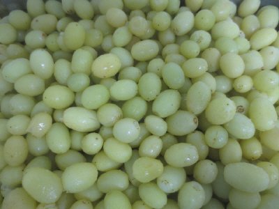 白ぶどう(種なし品種使用)