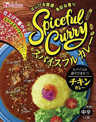 スパイスフルカレー　チキンカレー