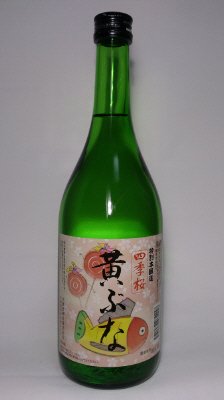 四季桜　特別本醸造　黄ぶな