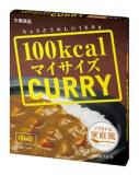 マイサイズカレー家庭風