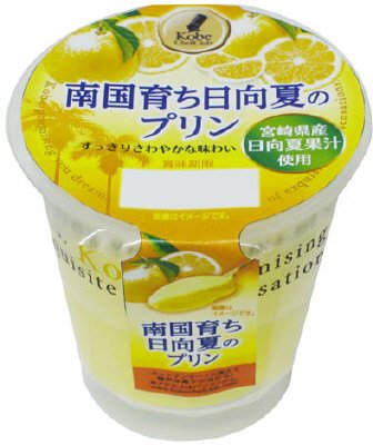 南国育ち日向夏のプリン