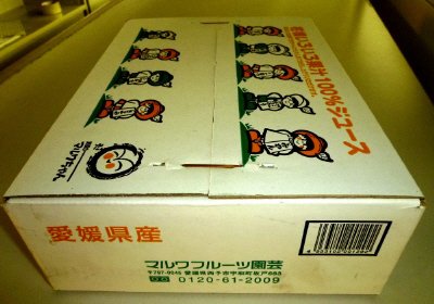柑橘いろいろ果汁１００％ジュース