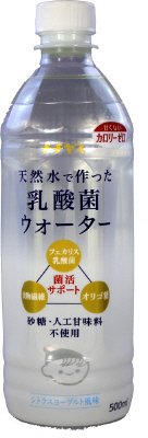 天然水で作った乳酸菌ウォーター