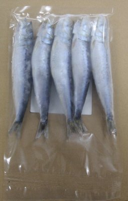 ふっくらいわし丸干し