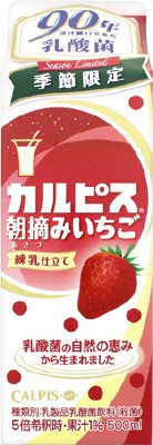 「カルピス」朝摘みいちご　練乳仕立て