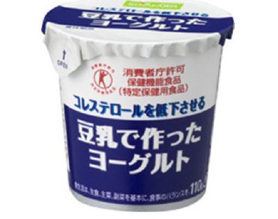 豆乳で作ったヨーグルト