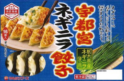 宇都宮ネギニラ餃子