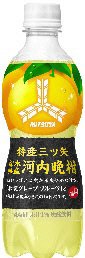 特産三ツ矢　熊本県産河内晩柑　ＰＥＴ４６０ｍｌ