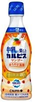 「牛乳と楽しむ『カルピス』」マンゴー　プラスチックボトル３００ｍｌ