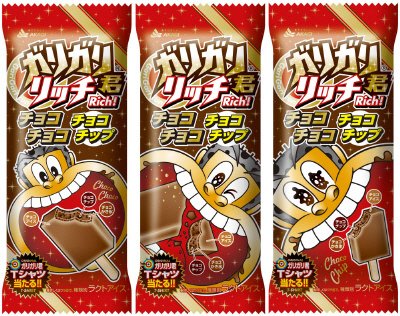 ガリガリ君リッチチョコチョコチョコチップ