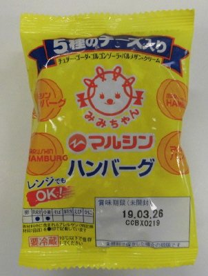 ５種のチーズ入りハンバーグ