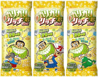 ガリガリ君リッチほとばしる青春の味