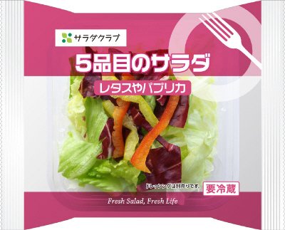 ５品目のサラダレタスやパプリカ