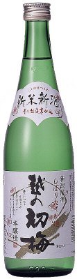 越の初梅　しぼりたて新米新酒