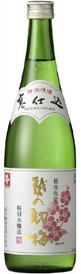 越の初梅　特別本醸造