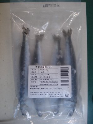 千葉県産真いわし