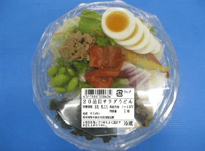 ２０品目サラダうどん