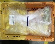 カットフルーツセット　一次加工　4種セット