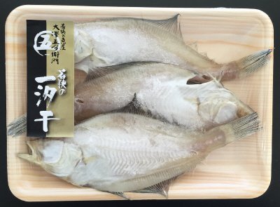 若狭の一汐干　えてかれい
