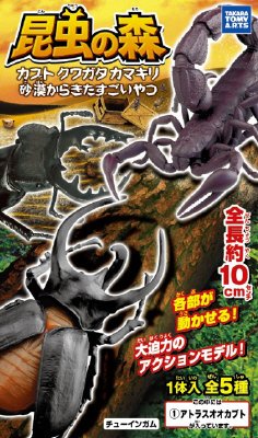 昆虫の森砂漠