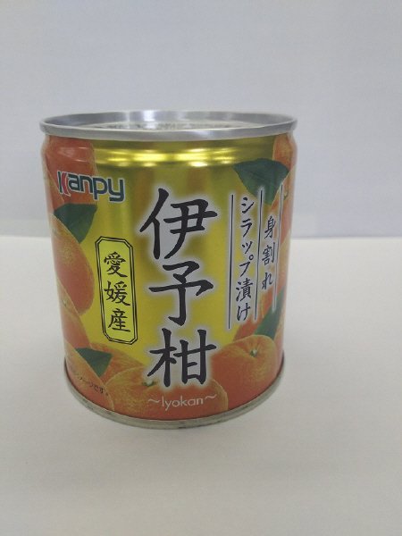 愛媛産伊予柑