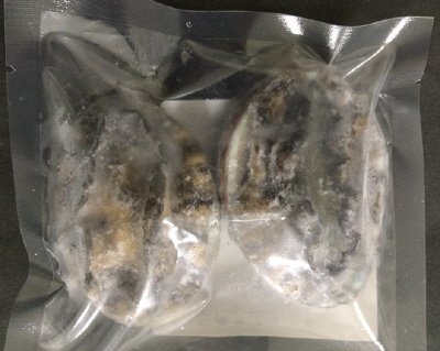 北海道産エゾあわび