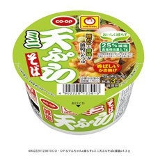 ミニ天ぷらそば