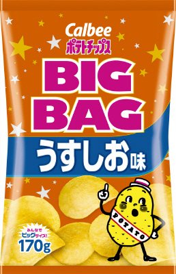 ポテトチップスＢＩＧＢＡＧうすしお味