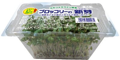 ブロッコリーの新芽
