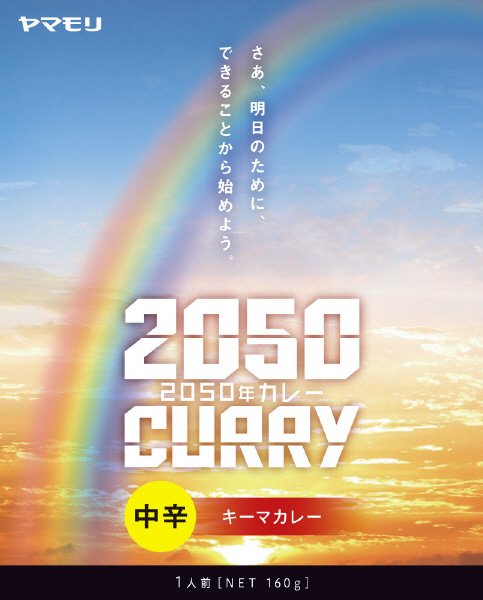 ２０５０年カレー　キーマ（中辛）